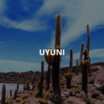 Waarom professionele voetverzorging belangrijk is