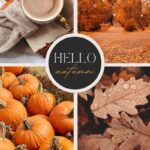 Happy Lifestyle & Wellness